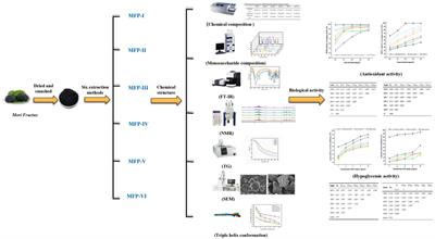 Structural characteristics, antioxidant and hypoglycemic activities of polysaccharides from Mori Fructus based on different extraction methods